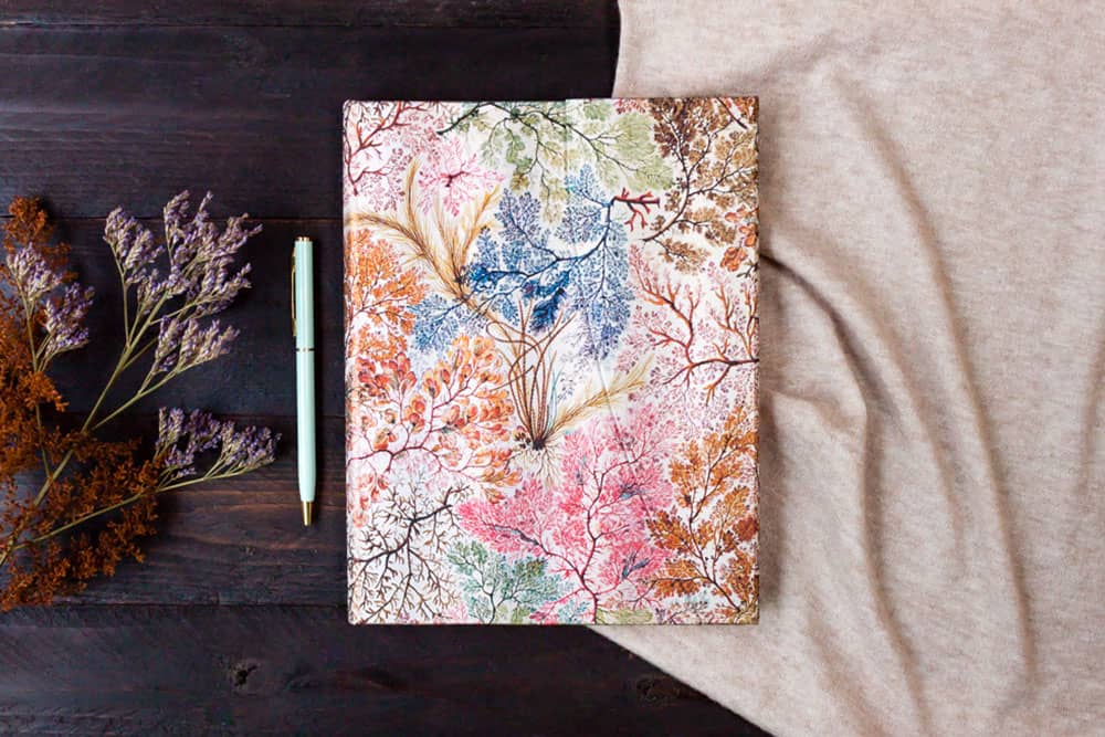 Anemone - Journals - DesignImgTwo Image