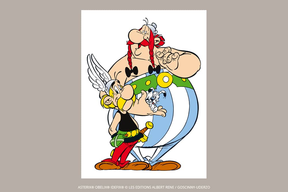 Asterix & Obelix - Pencil Cases - DesignImgFive Image