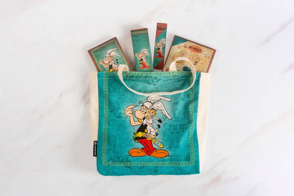 Asterix the Gaul - Pencil Cases - DesignImgOne Image