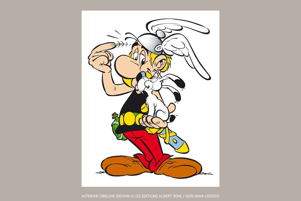 Asterix the Gaul - Pencil Cases - DesignImgSix Image