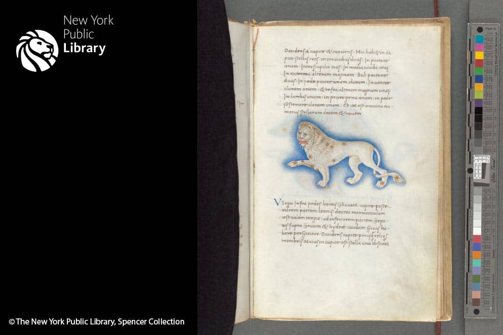 Astronomica - Journals - DesignImgOne Image