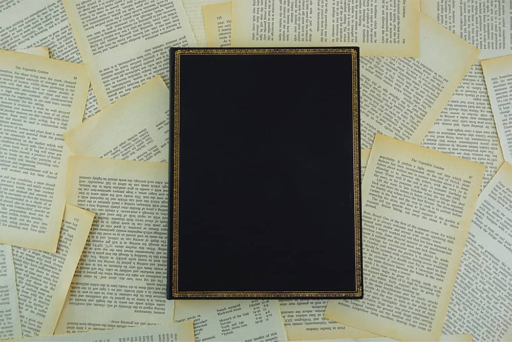 ブラックエディション 箔なし - Document Folders - DesignImgOne Image