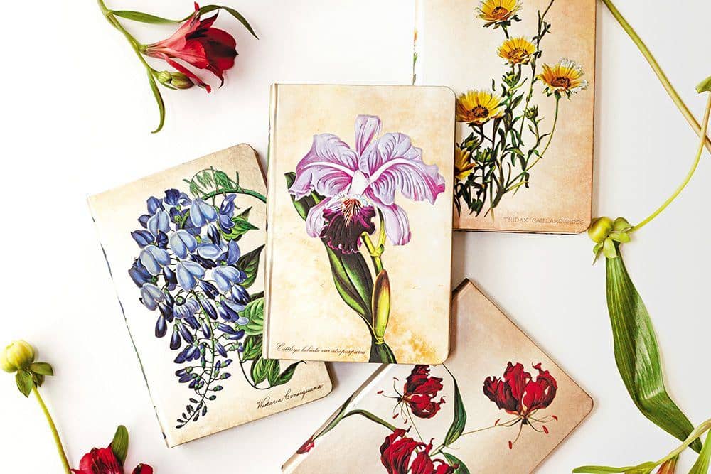 Brasilianische Orchidee - Notizbücher - DesignImgTwo Image