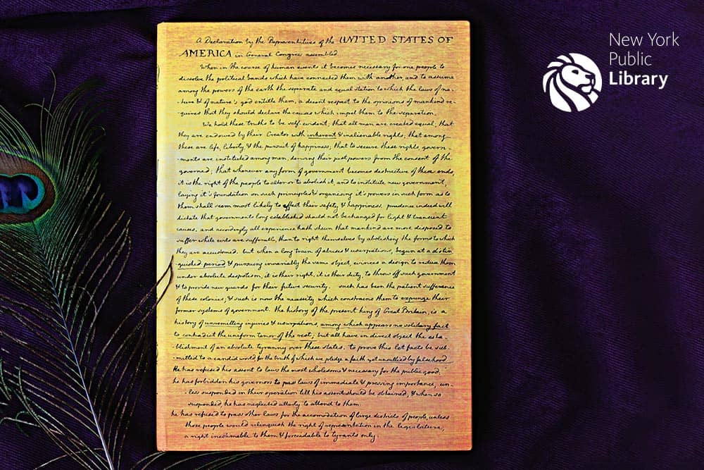 Dichiarazione di Indipendenza - Cartelline per Documenti - DesignImgTwo Image