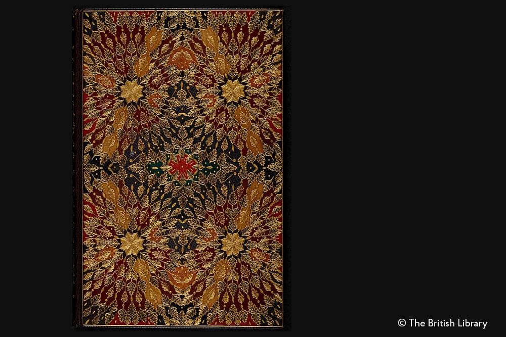 Fiori di Fuoco - Diari - DesignImgFour Image