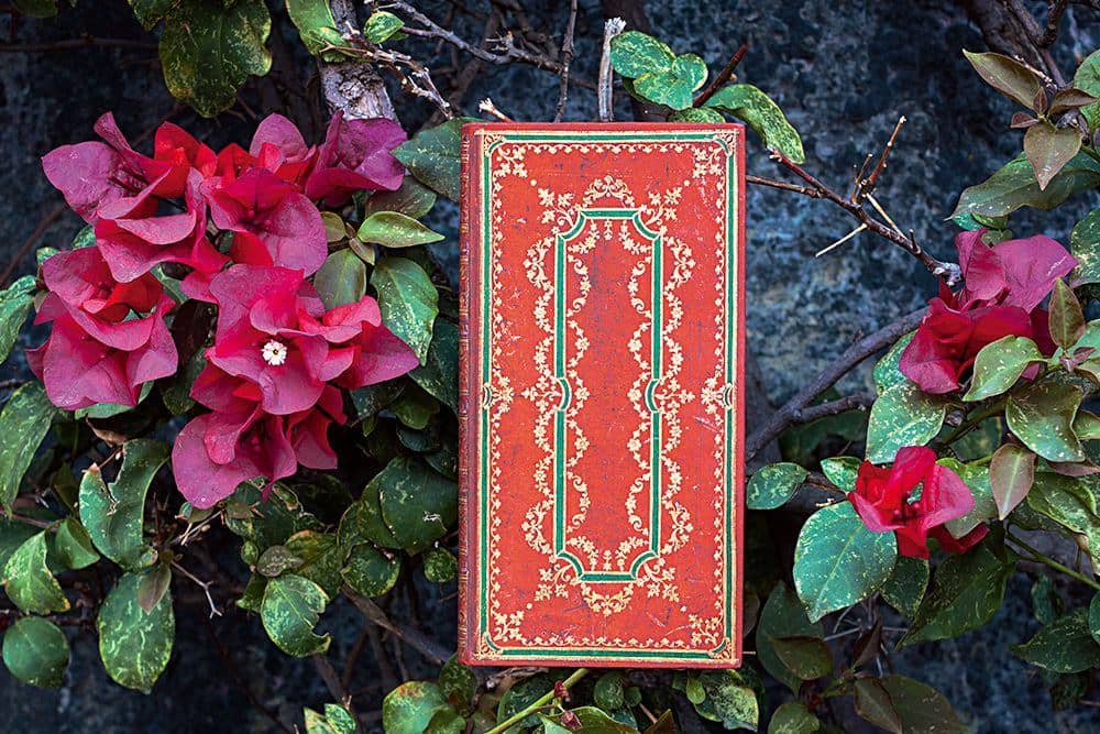 Ironberry - Cuadernos - DesignImgOne Image