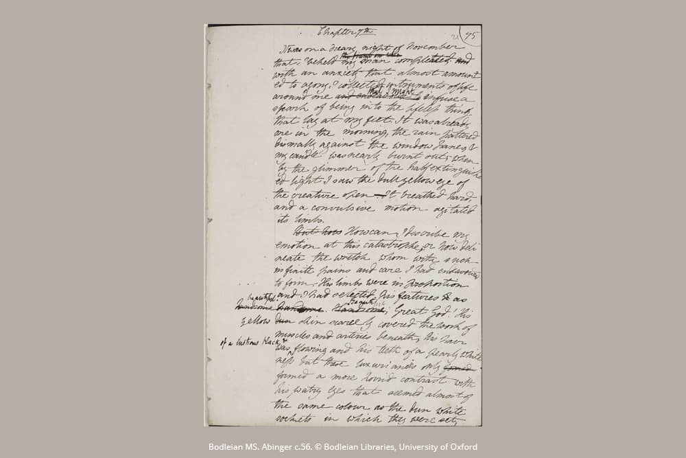 Mary Shelley, Frankenstein - Journals - DesignImgOne Image