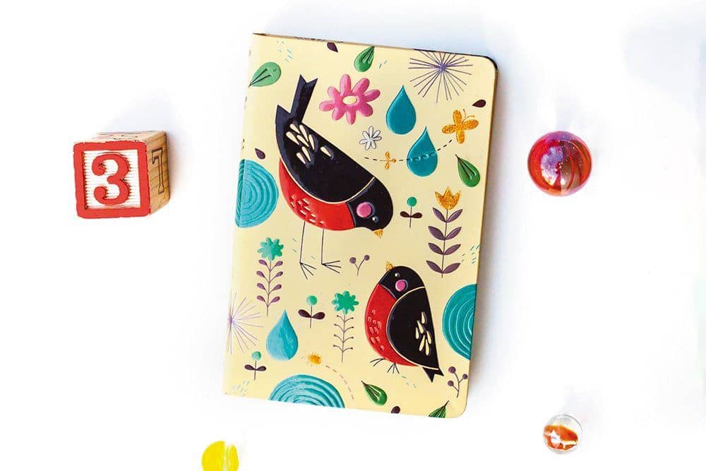 La Mamma Pettirosso - Diari Snapshot 5-Anni - DesignImgOne Image