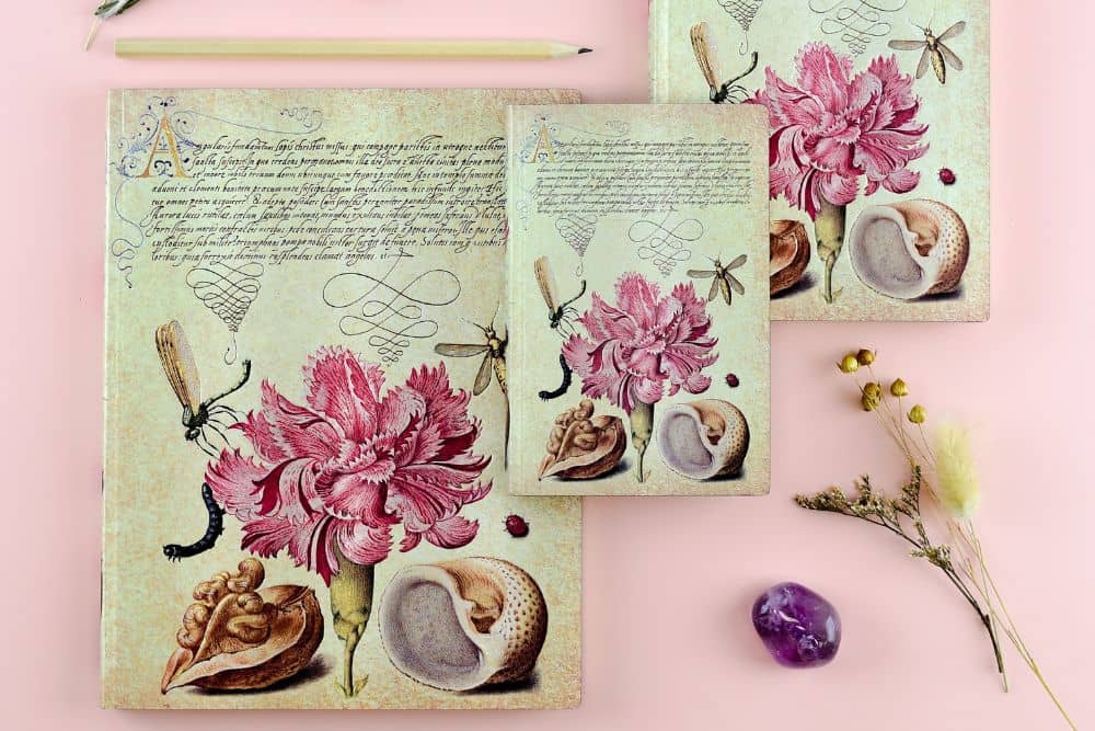 Pink Carnation - Journals - DesignImgOne Image