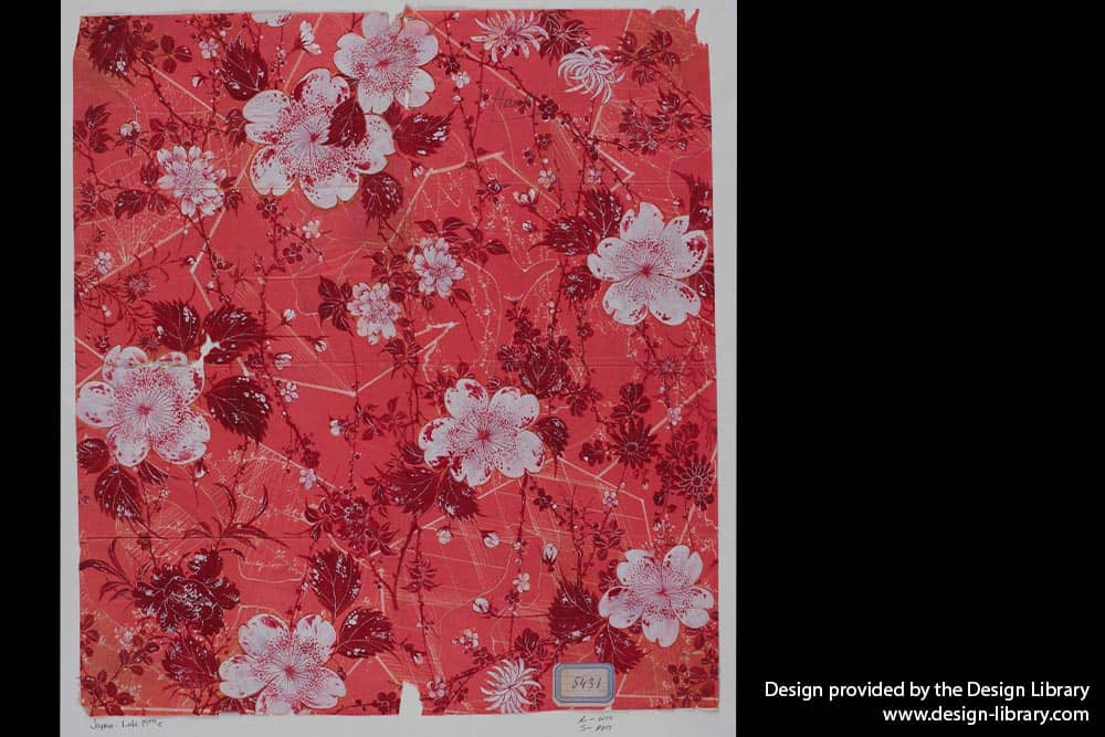 Sakura - Diari - DesignImgThree Image