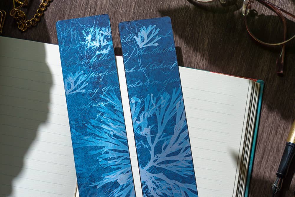 Fleurs Marines - Carnets - DesignImgThree Image