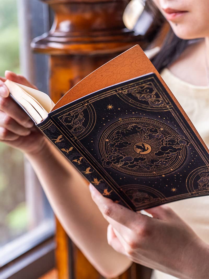Shadows of Navarre - Journals - DesignImgThree Image