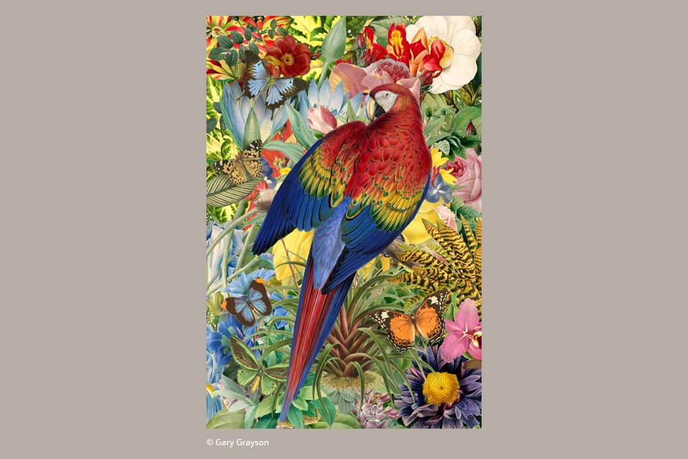 Tropical Garden - Bookmarks - DesignImgOne Image