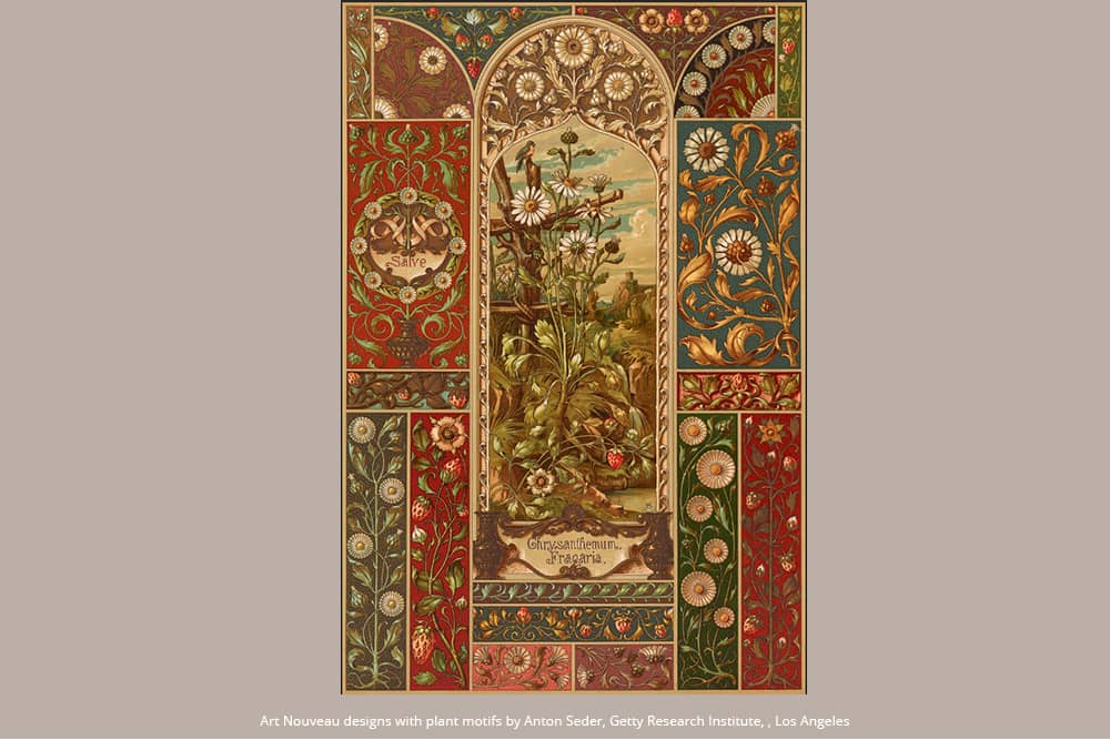 Frutta Viennese - Diari - DesignImgFive Image