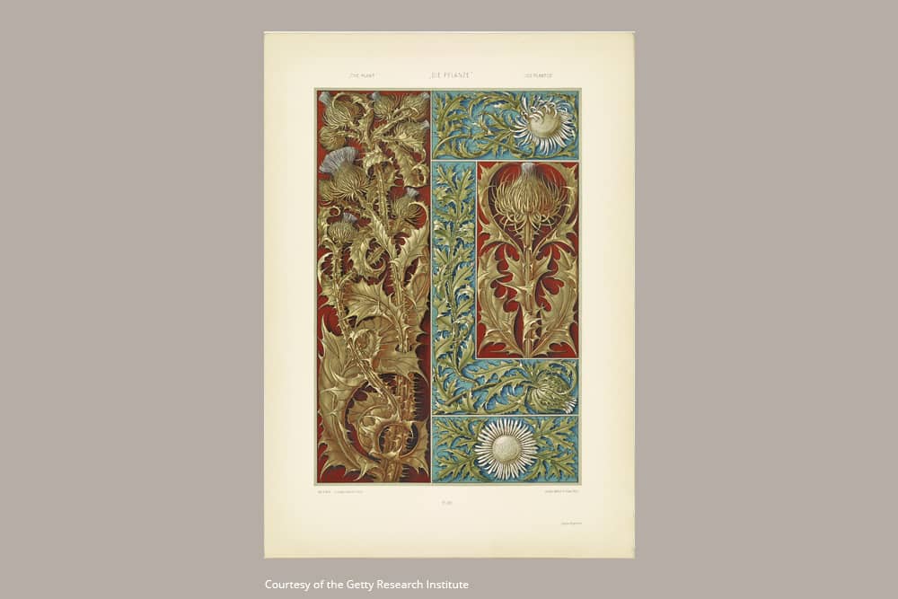 Wild Thistle - Journals - DesignImgOne Image