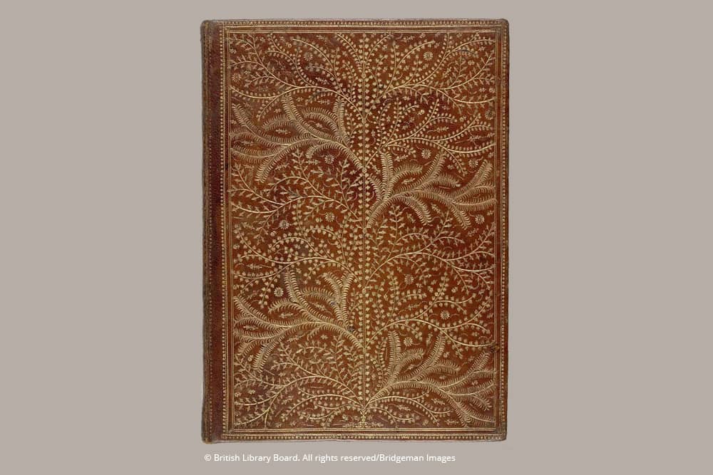 Wildwood - Journals - DesignImgOne Image