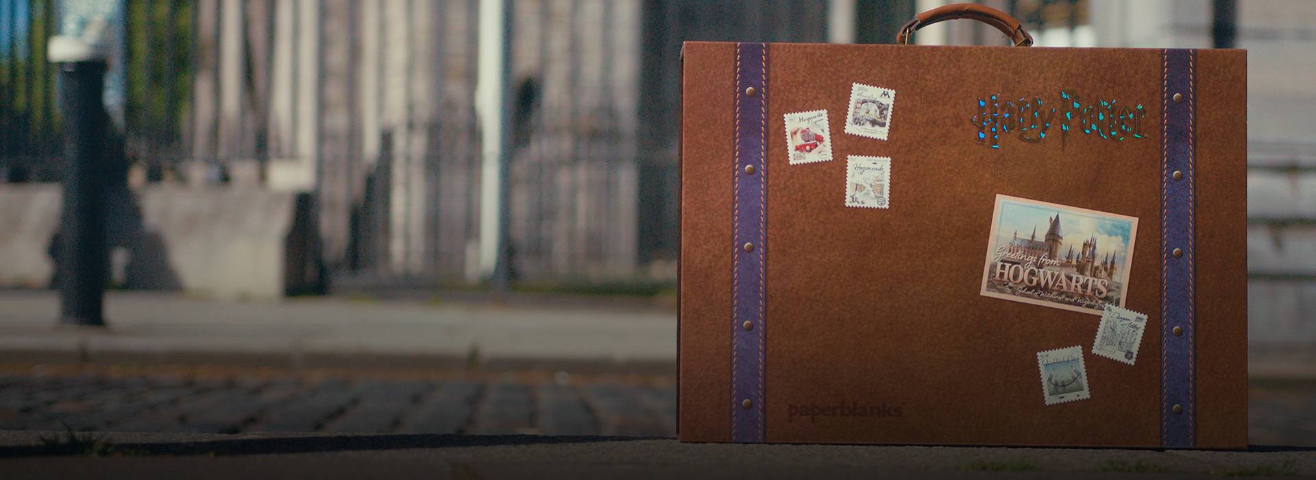 Edizione da Collezione delle Case di Hogwarts in tiratura limitata!