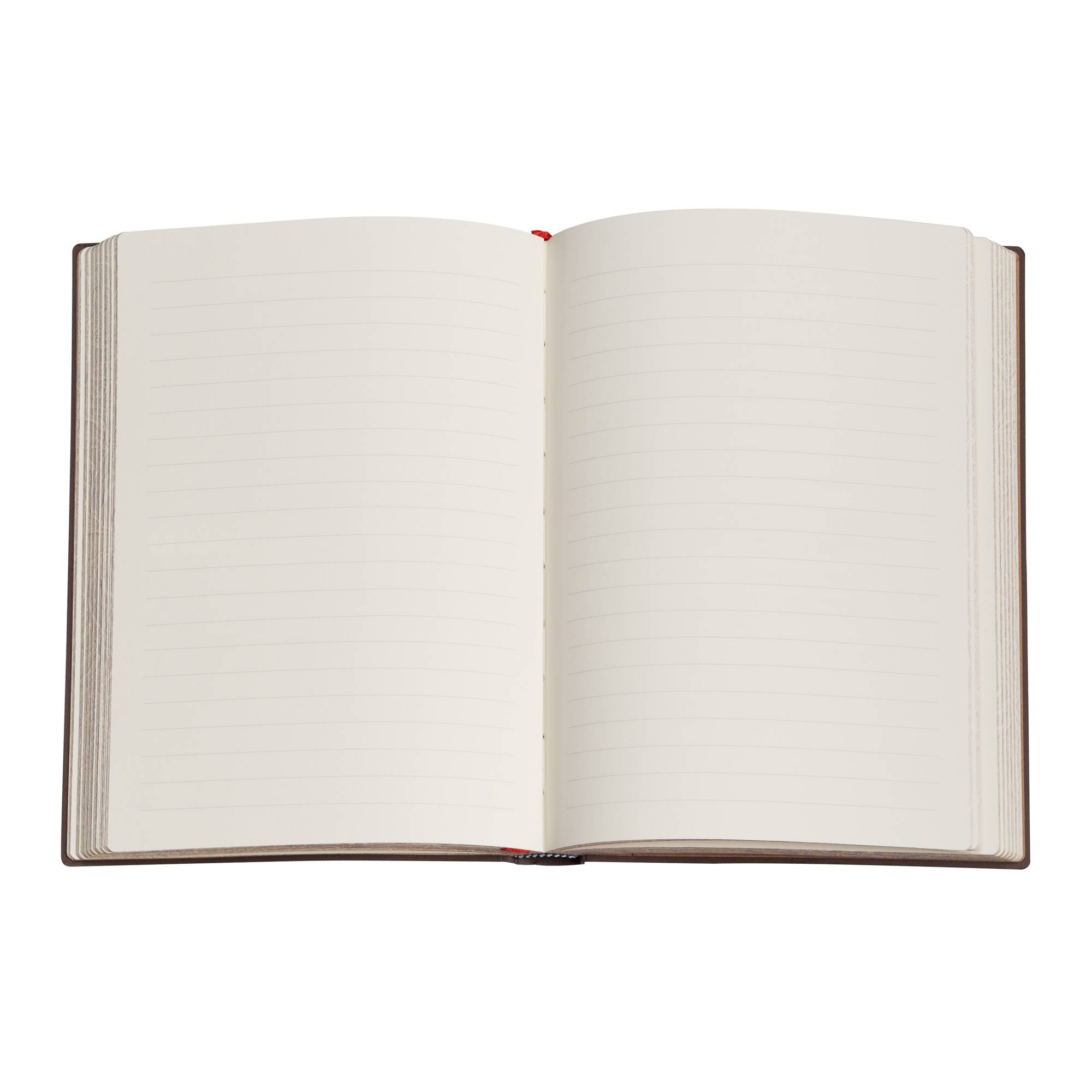 Rembrandt’s 350th Anniversary - Journals - InteriorShot Image
