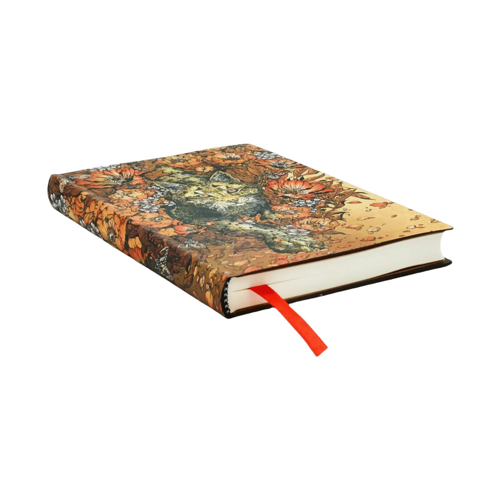 Mirada de lince - Cuadernos - Edge Image