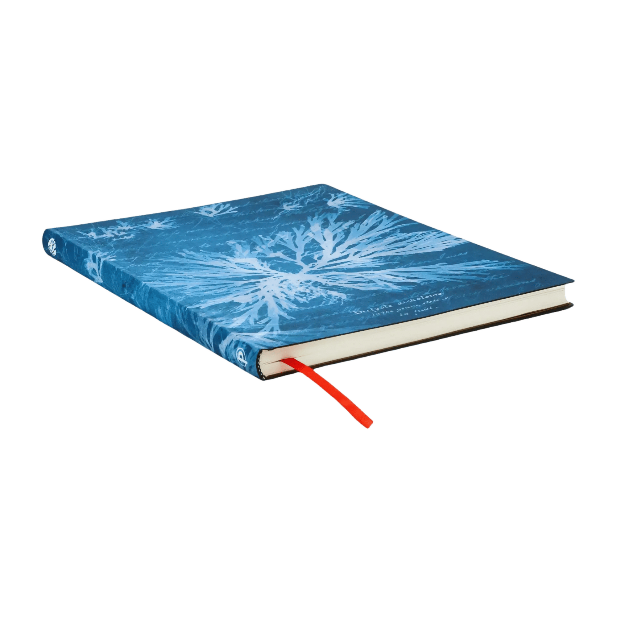 Fleurs Marines - Carnets - Edge Image