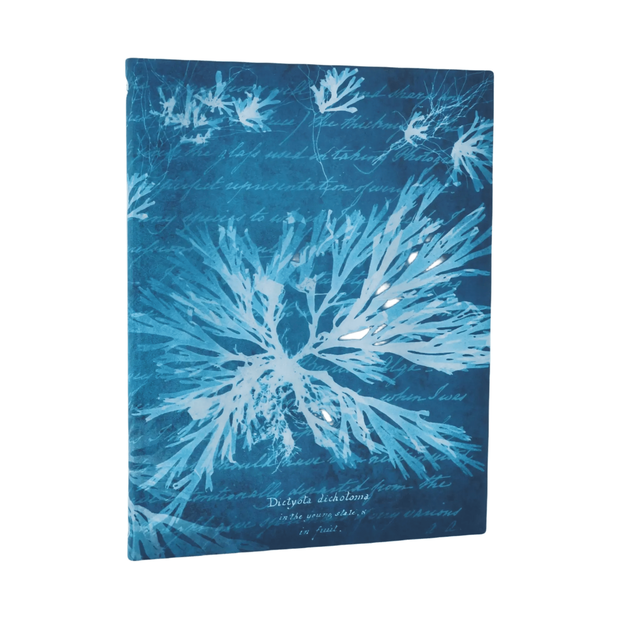 Fleurs Marines - Carnets - Front Image