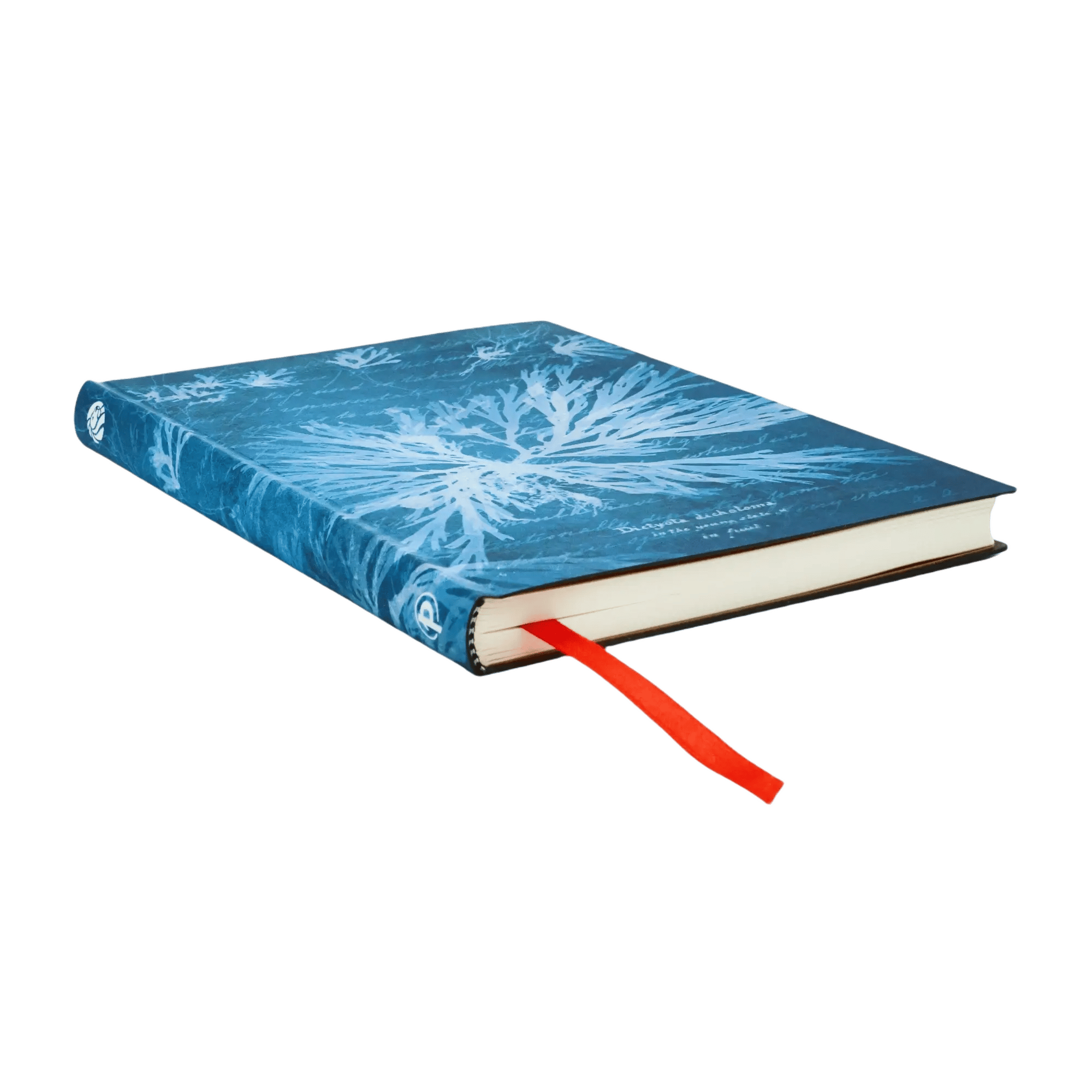 Sea Flowers - Journals - Edge Image
