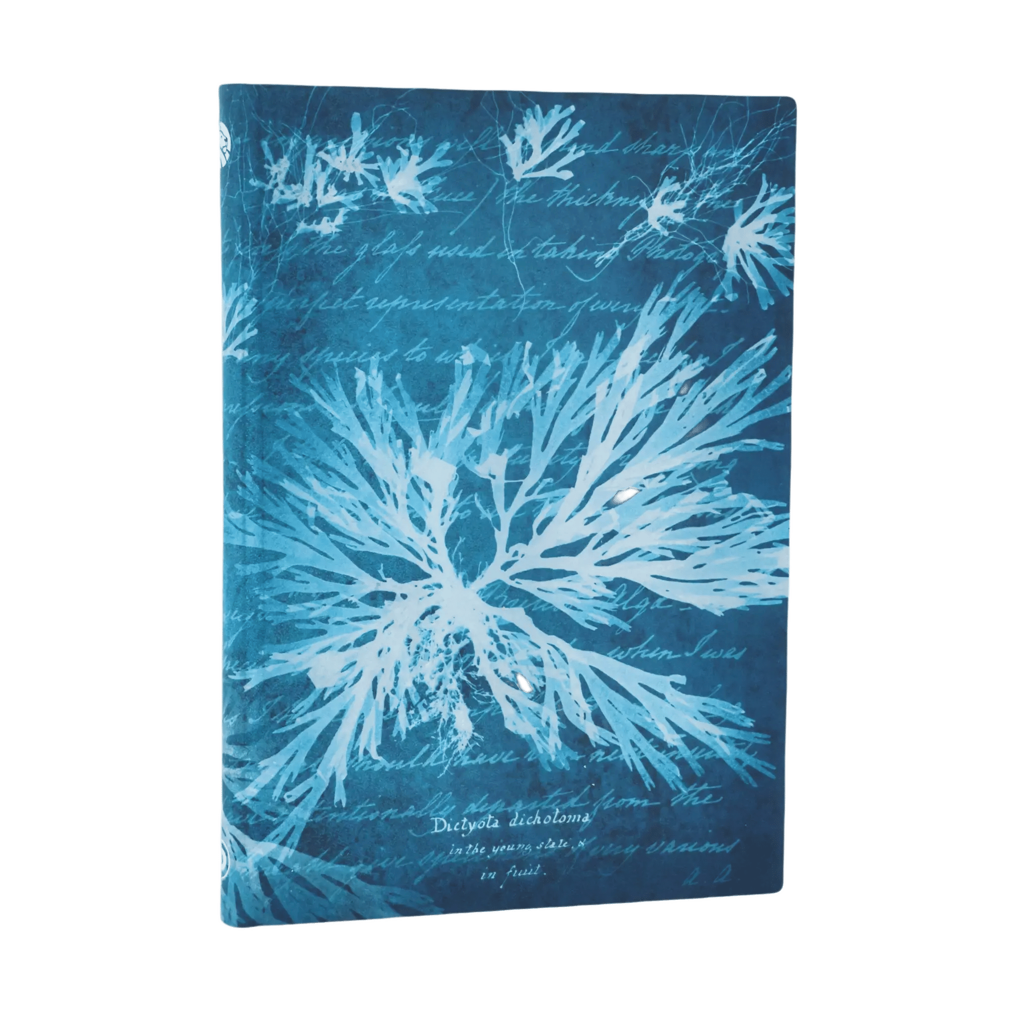 Sea Flowers - Journals - Front Image