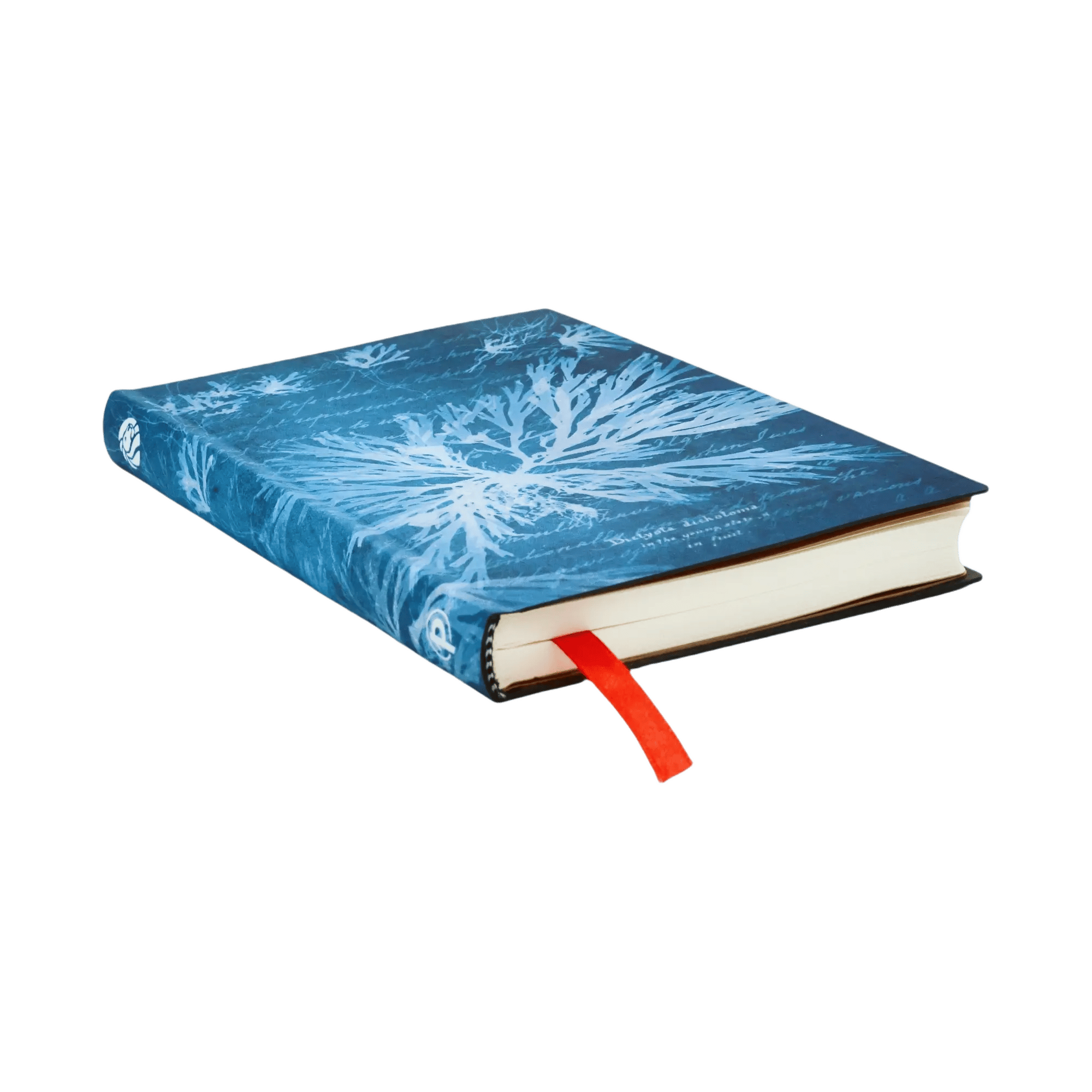 Sea Flowers - Journals - Edge Image