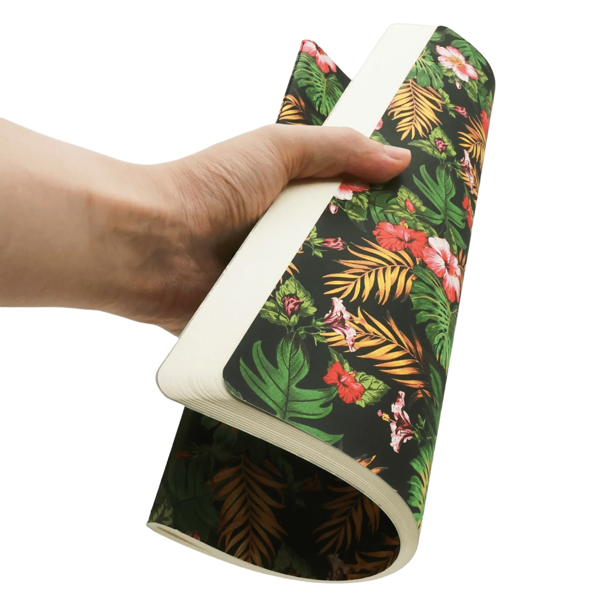 Nani - Cahiers - Back Image