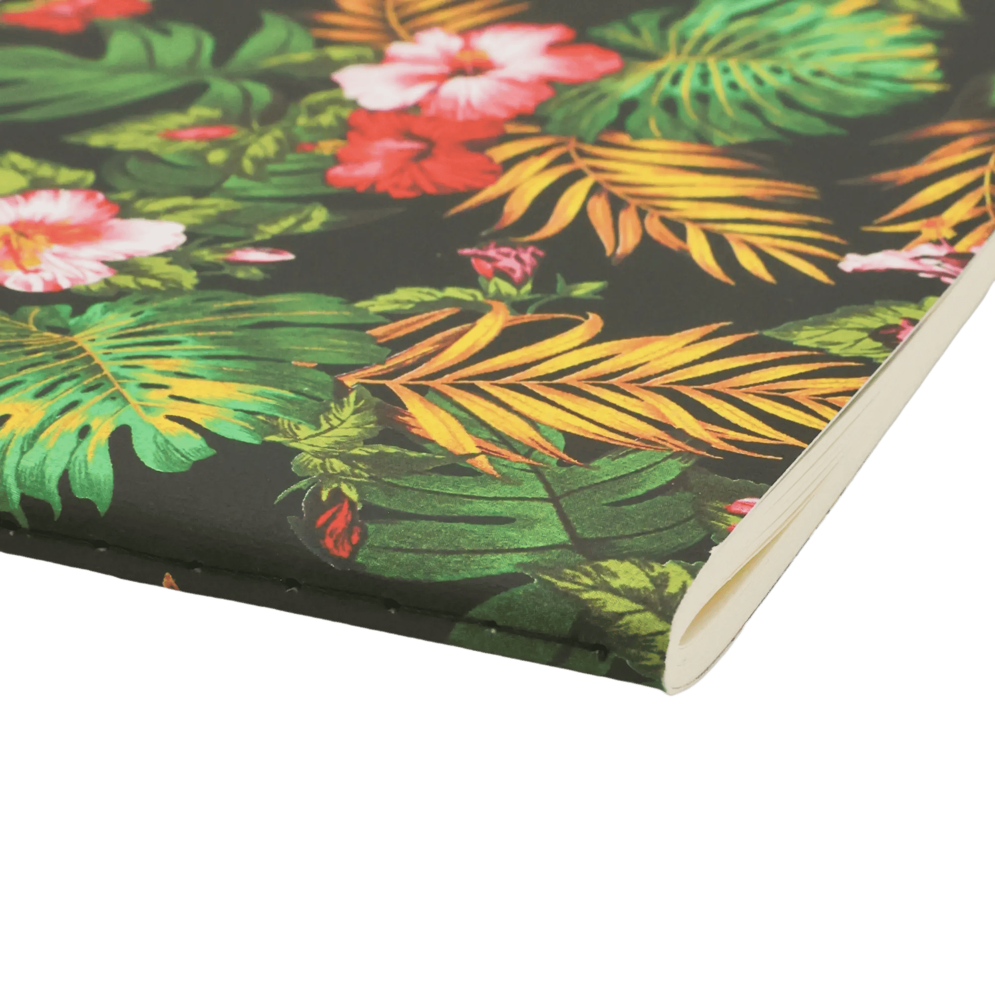 Nani - Cahiers - Edge Image