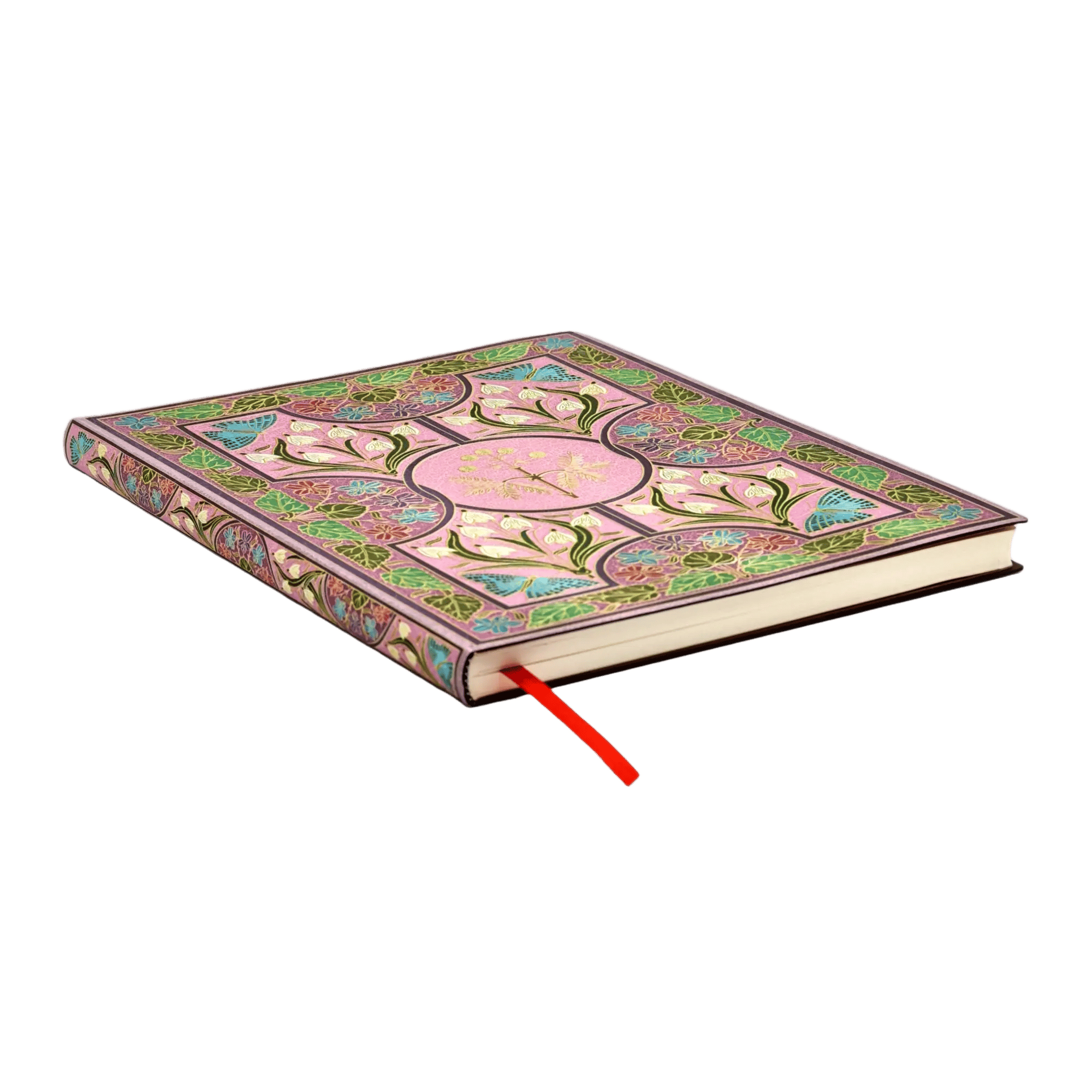 Mimosa - Diari - Edge Image