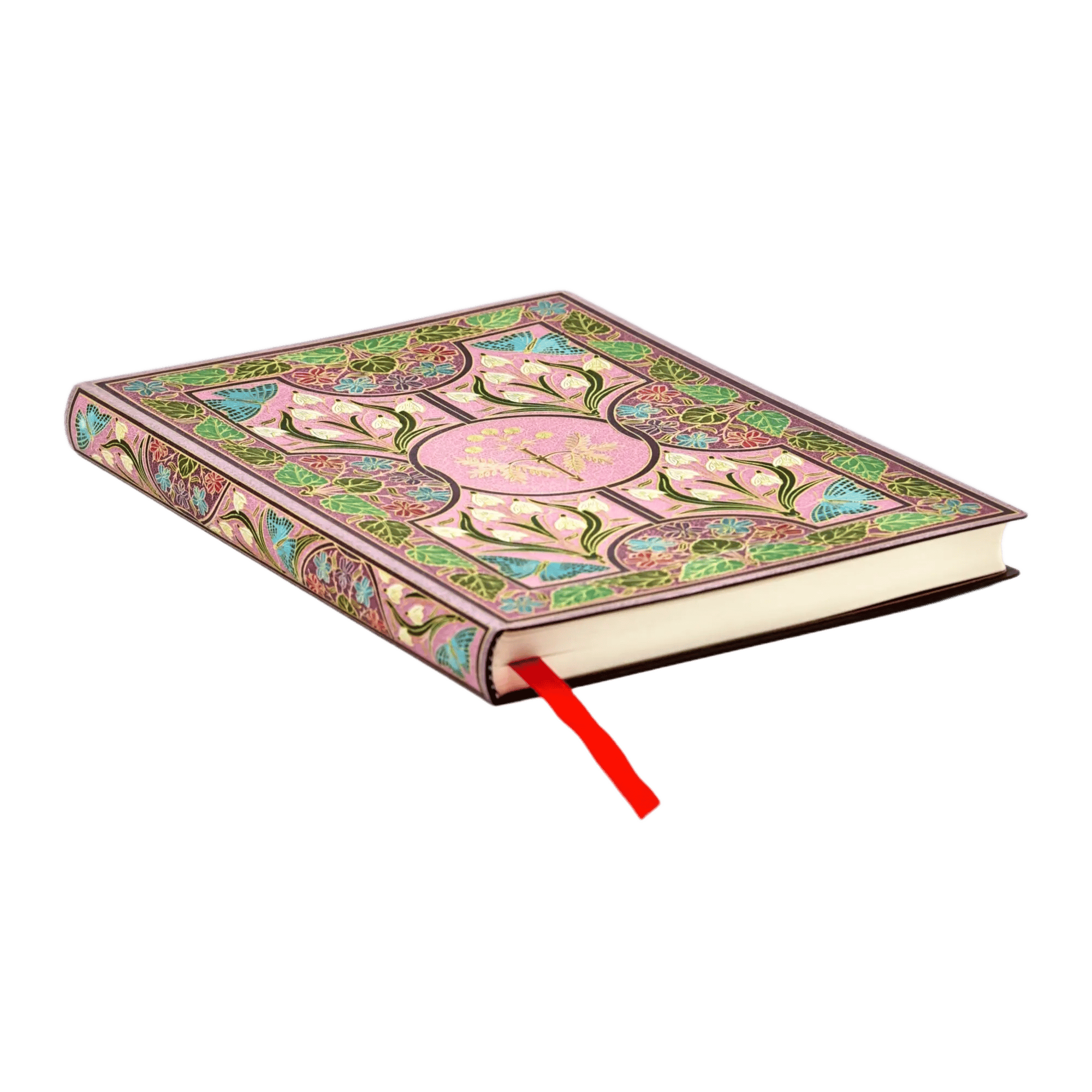 Mimosa - Journals - Edge Image