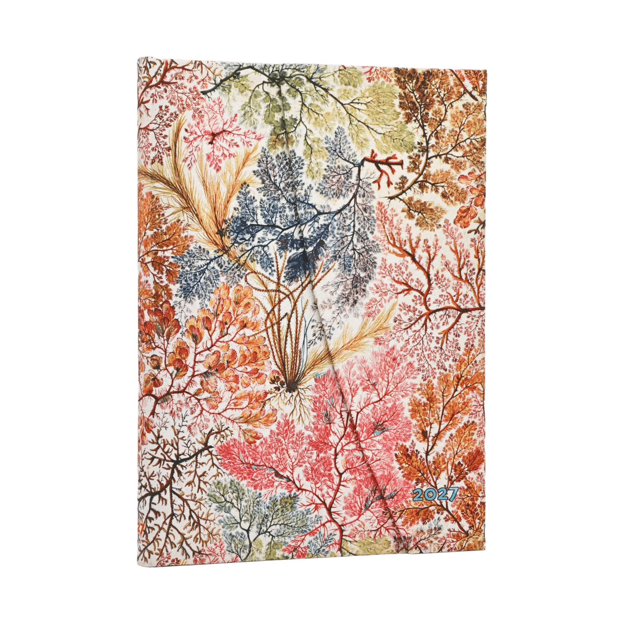 2027 Anemone - 12-Monatskalender - Front Image
