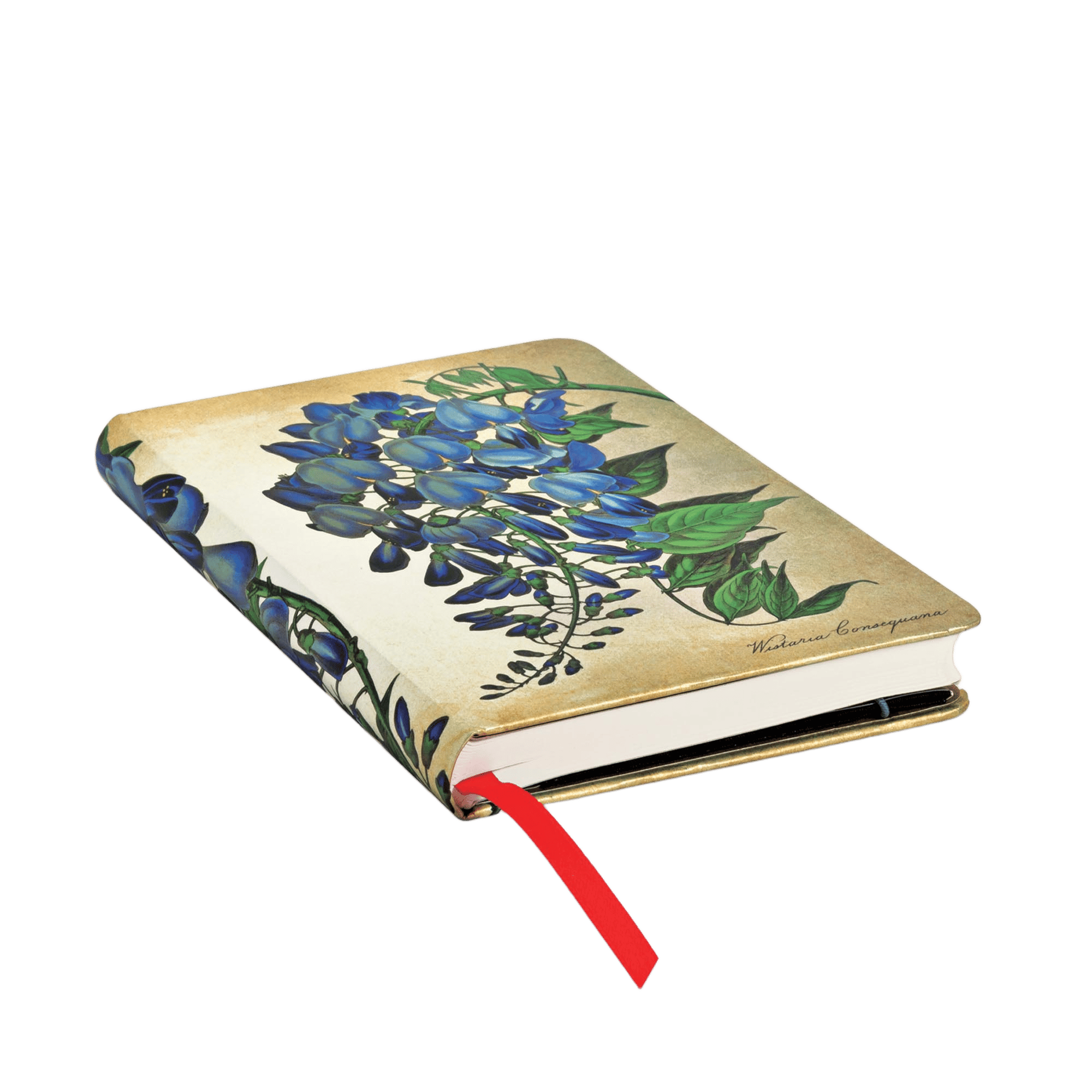 Blühende Glyzinie - Notizbücher - Edge Image