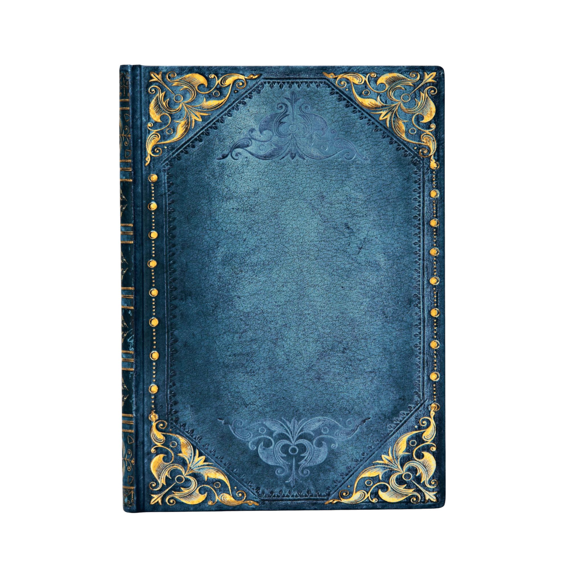 Peacock Punk - Journals - Front Image