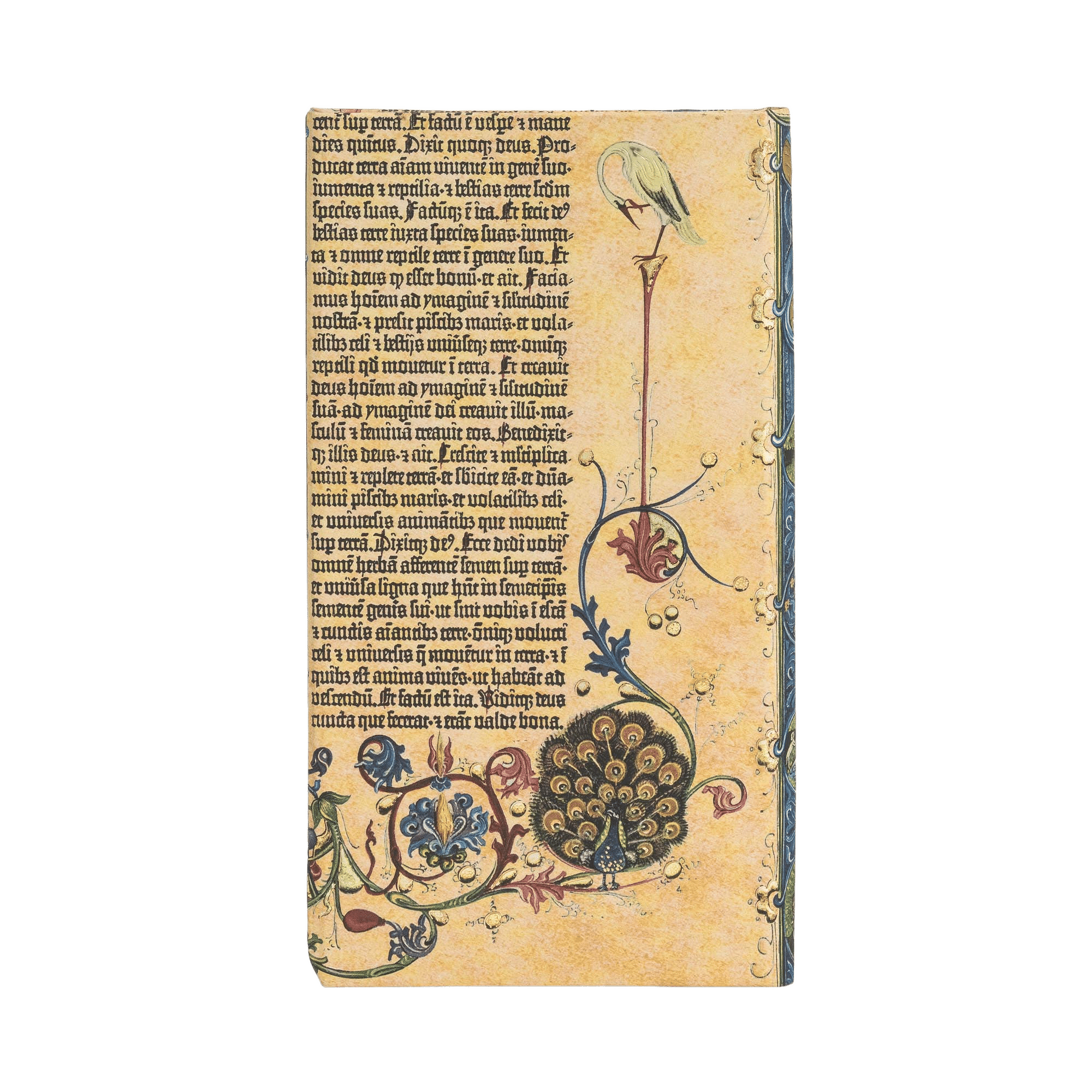 Genesis - Diari - Back Image