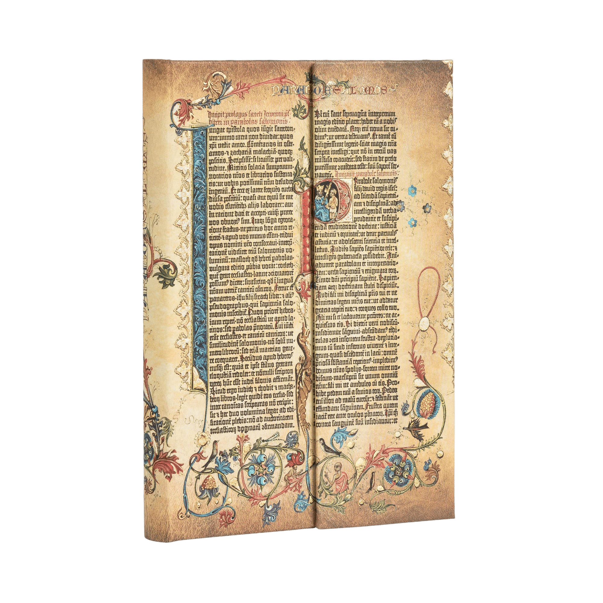 Parabole - Notizbücher - Angle Image
