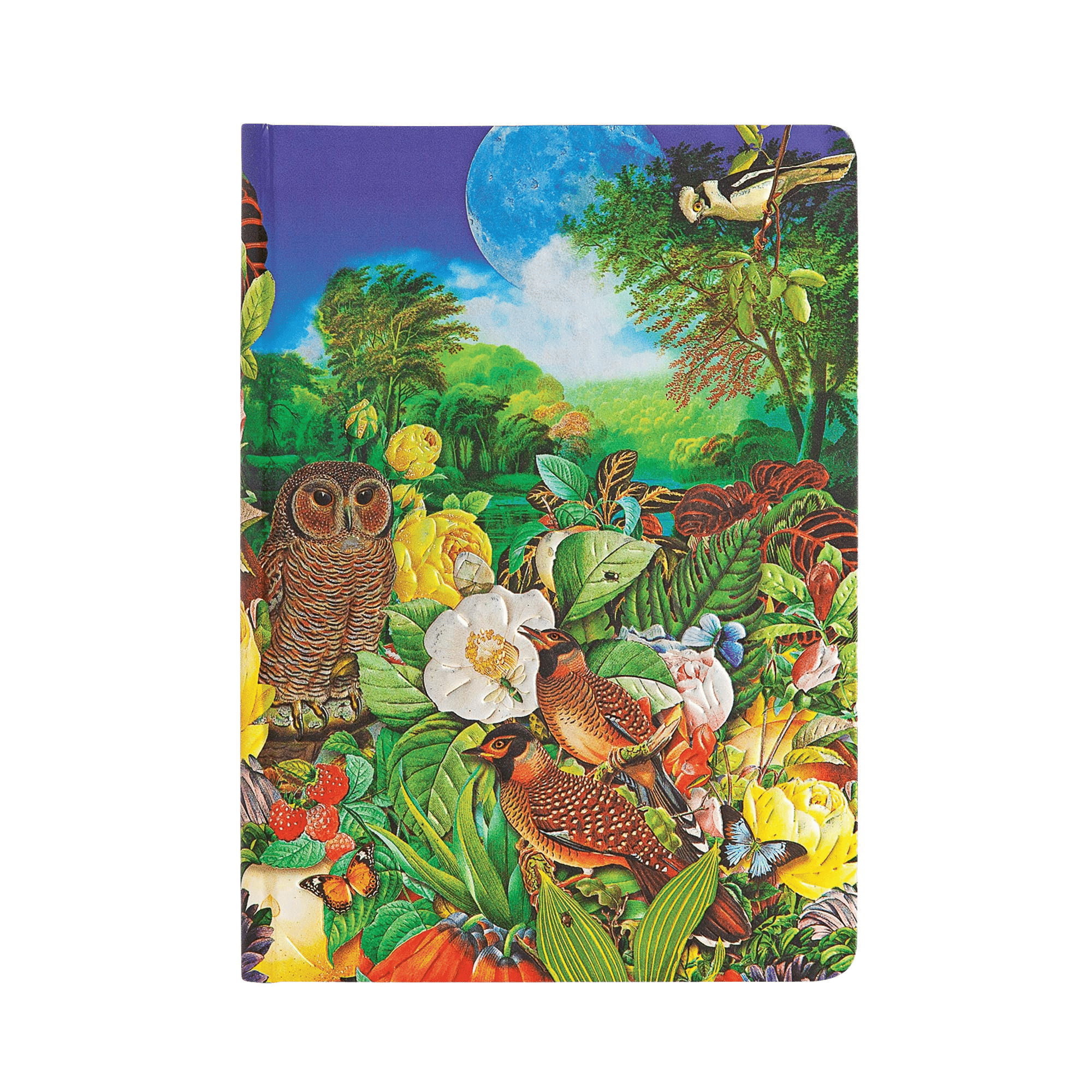 Giardino al Chiaro di Luna - Diari - Front Image