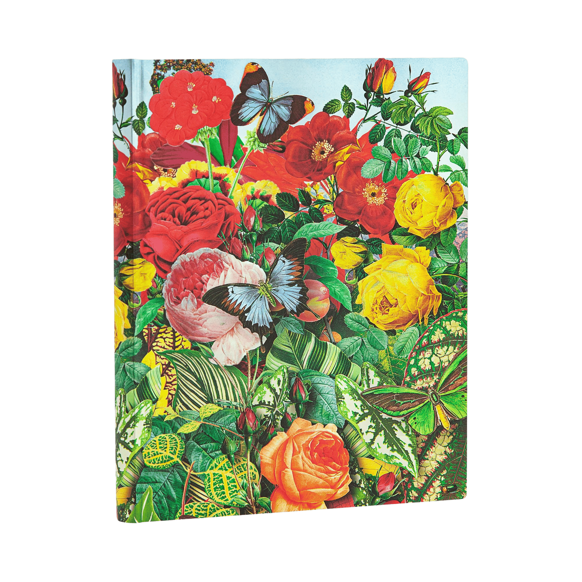 Jardín de Mariposas - Cuadernos - Angle Image