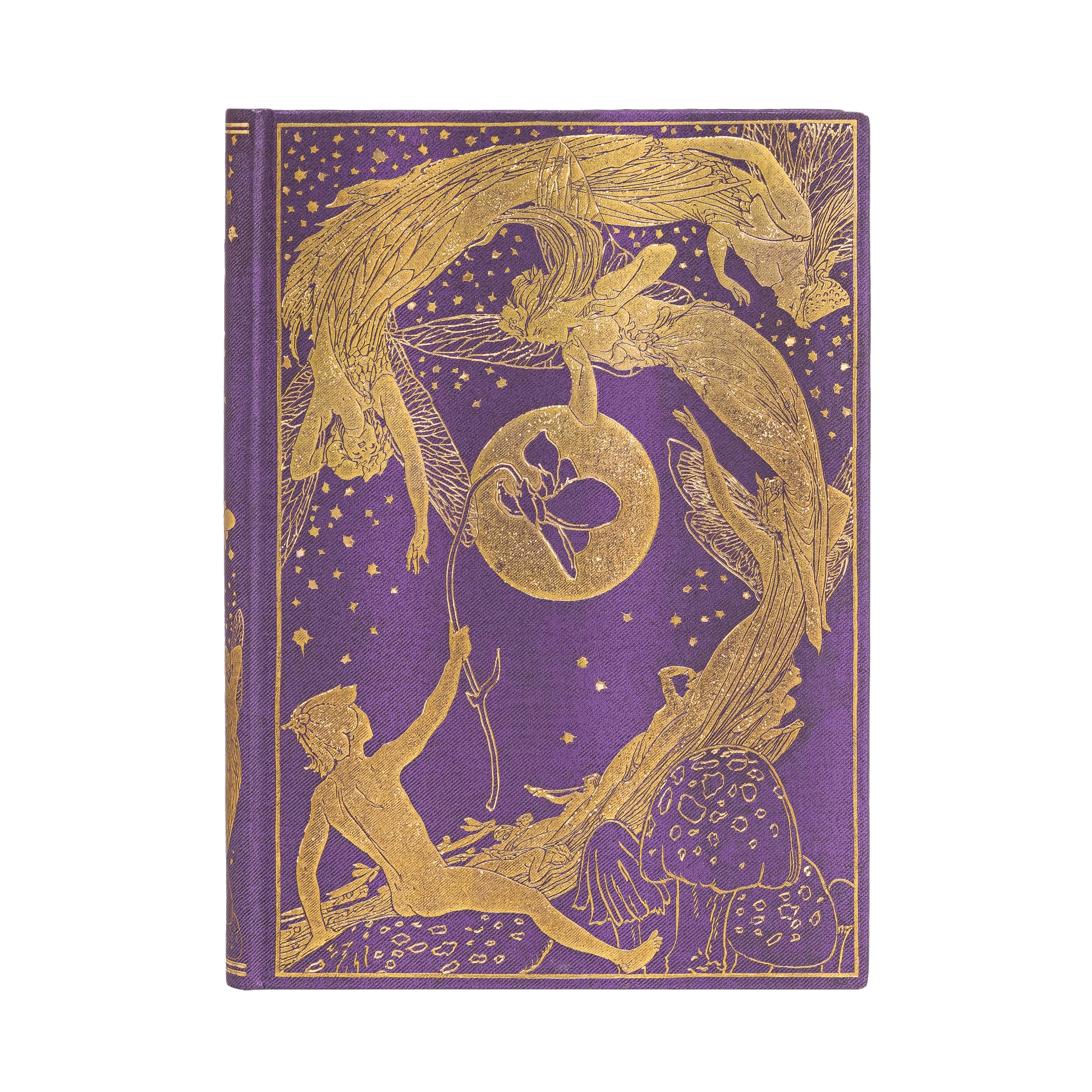 La Fata Viola - Diari - Front Image