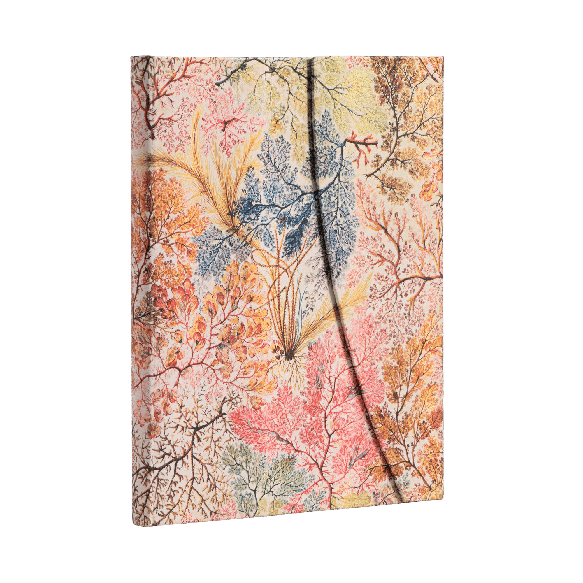 絵画 anemone Anemone - William Kilburn - Journals | Paperblanks