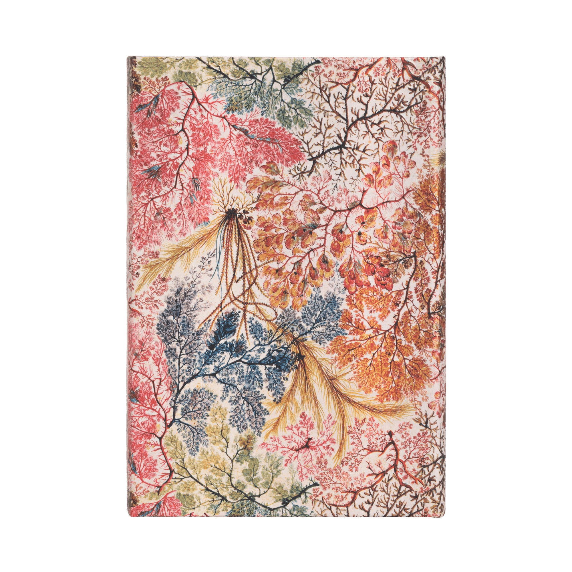 Anemone - Journals - Back Image