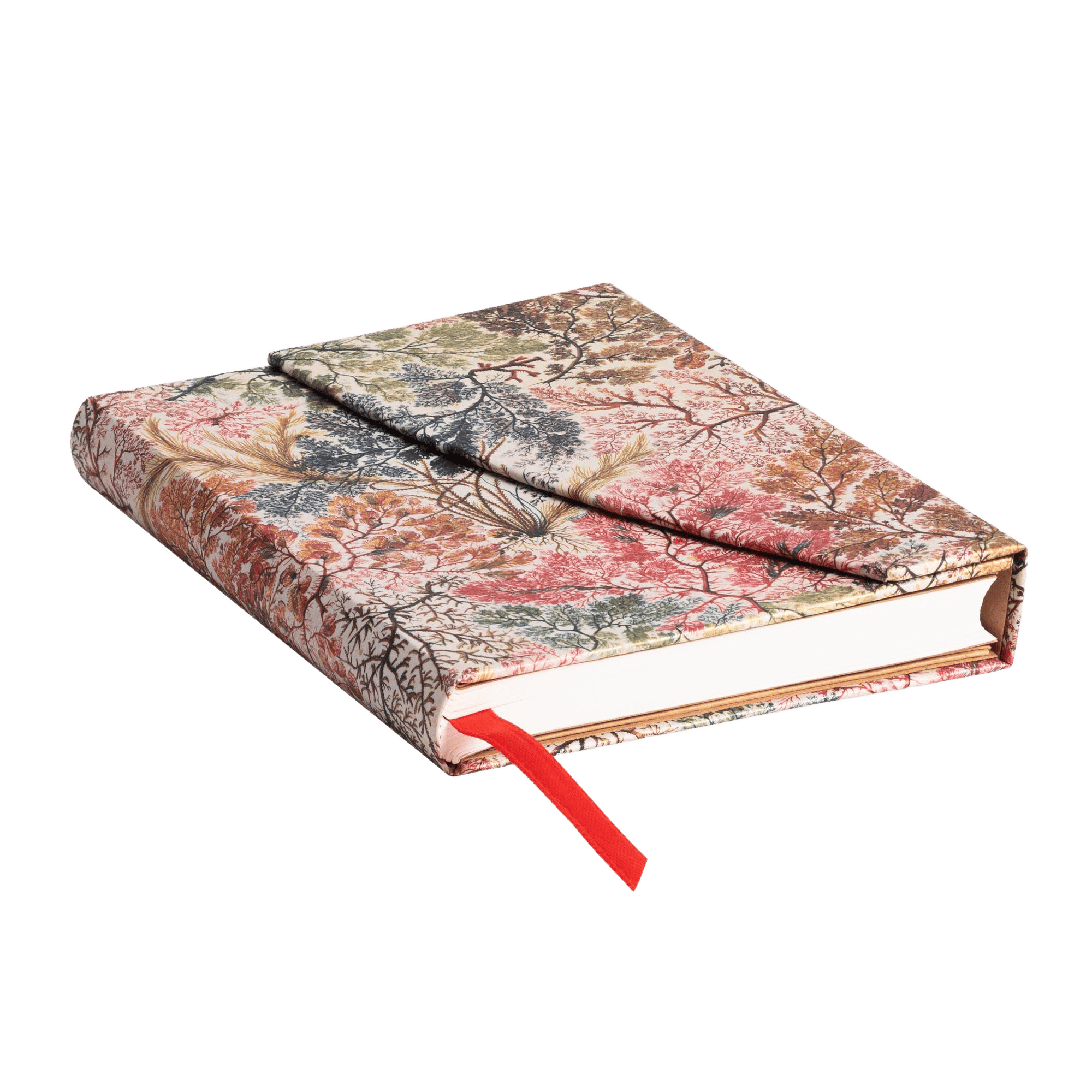 Anemone - Journals - Edge Image