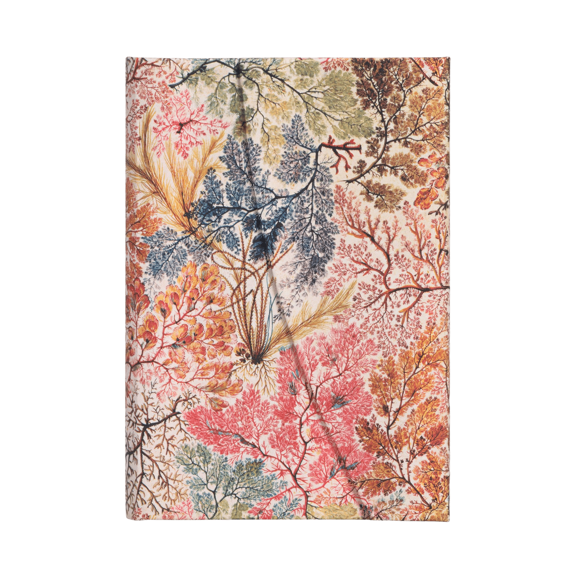 Anemone - Journals - Front Image
