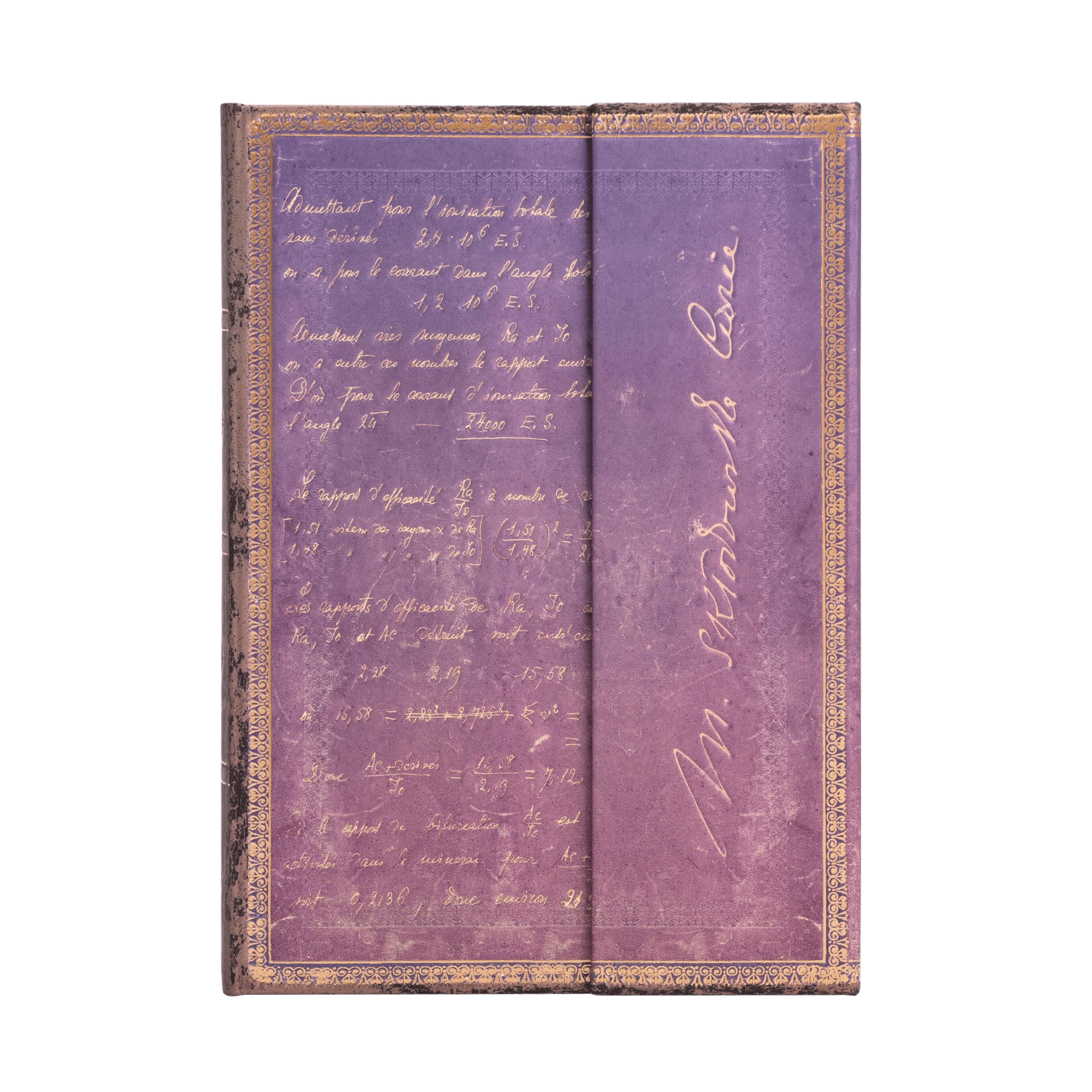 Marie Curie, Science of Radioactivity - Journals - Front Image