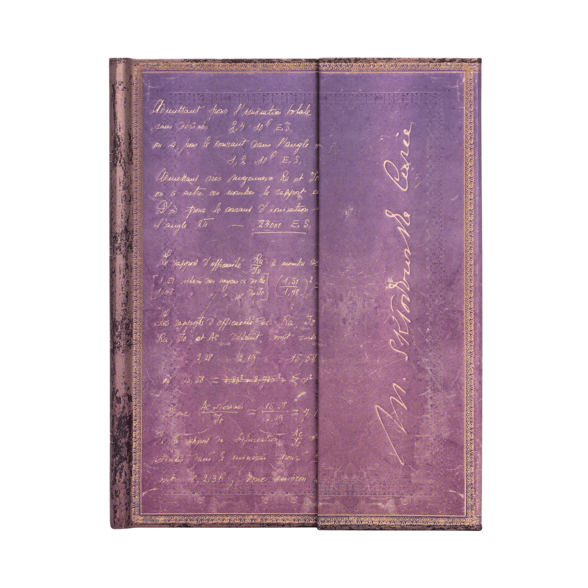Marie Curie, Science of Radioactivity - Journals - Front Image