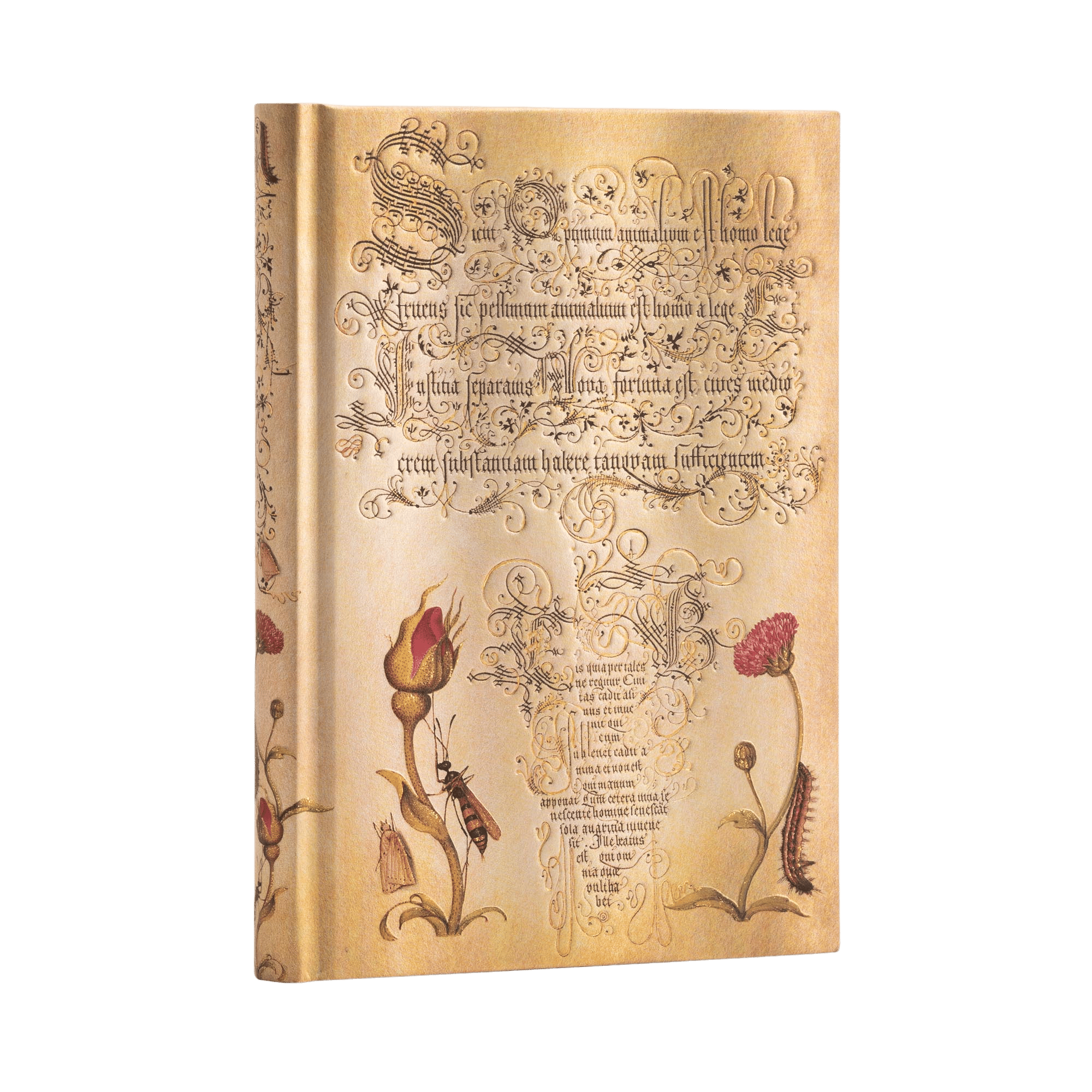 Rosa Holandesa - Cuadernos - Angle Image