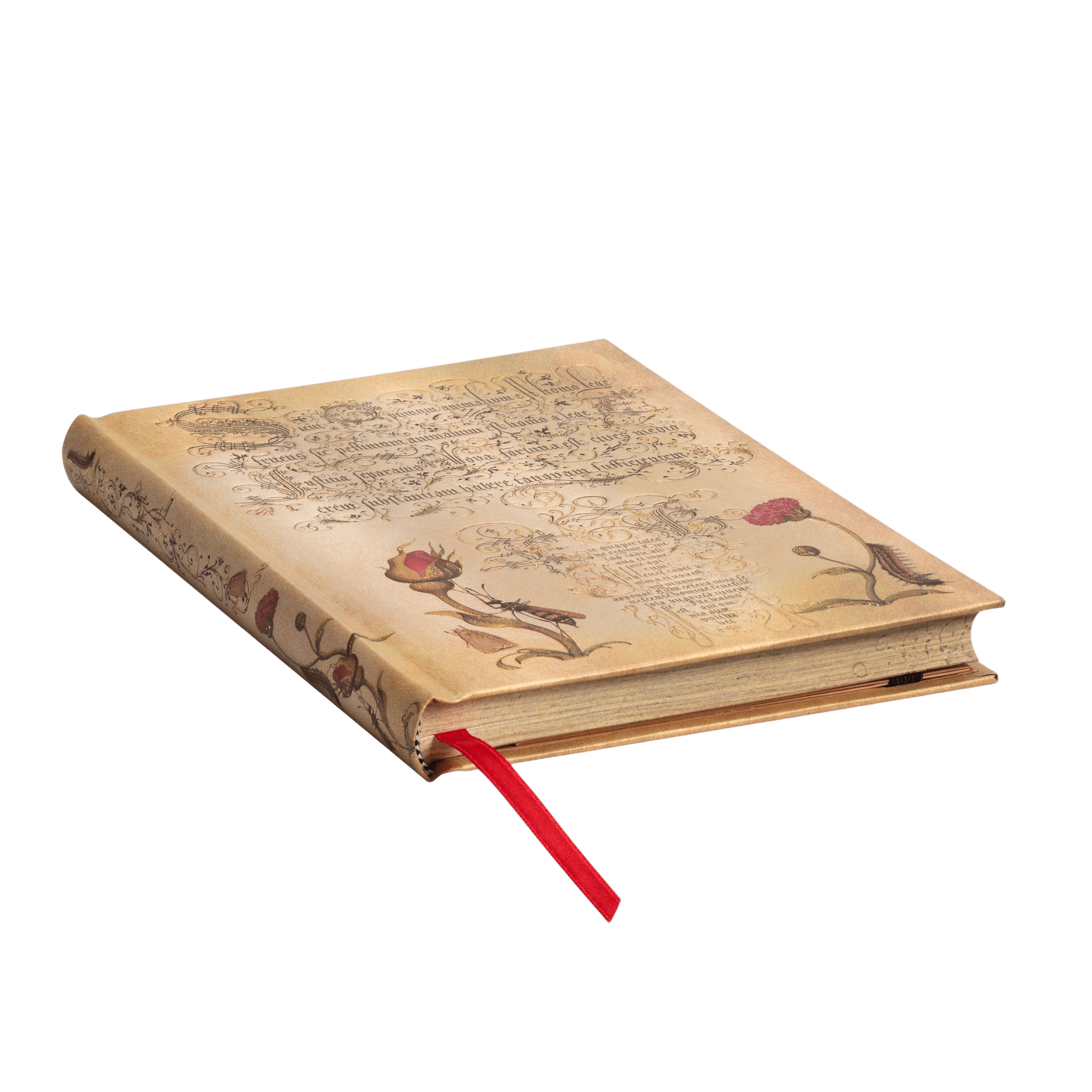 Rosa Holandesa - Cuadernos - Edge Image
