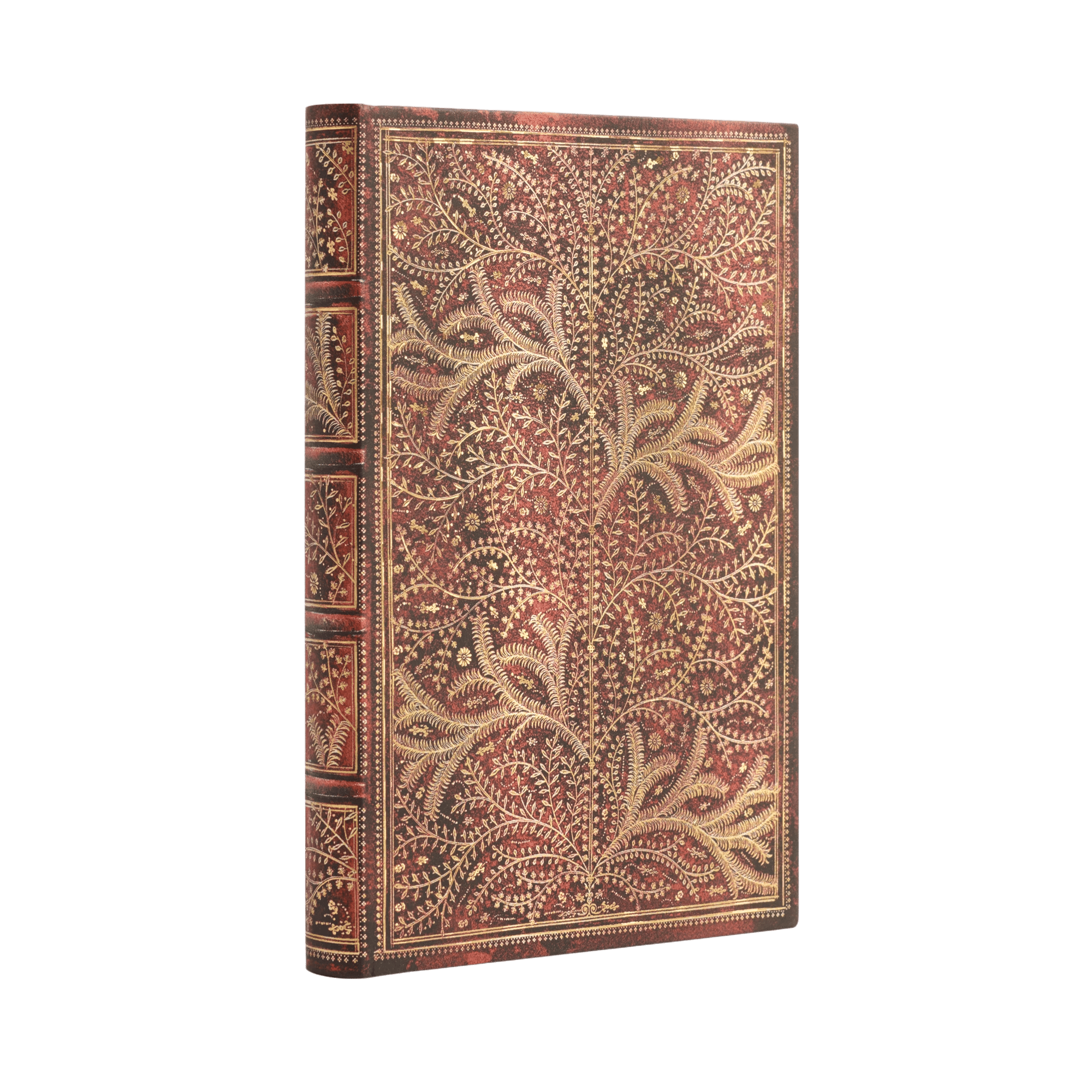 Forêt Sauvage - Carnets - Angle Image