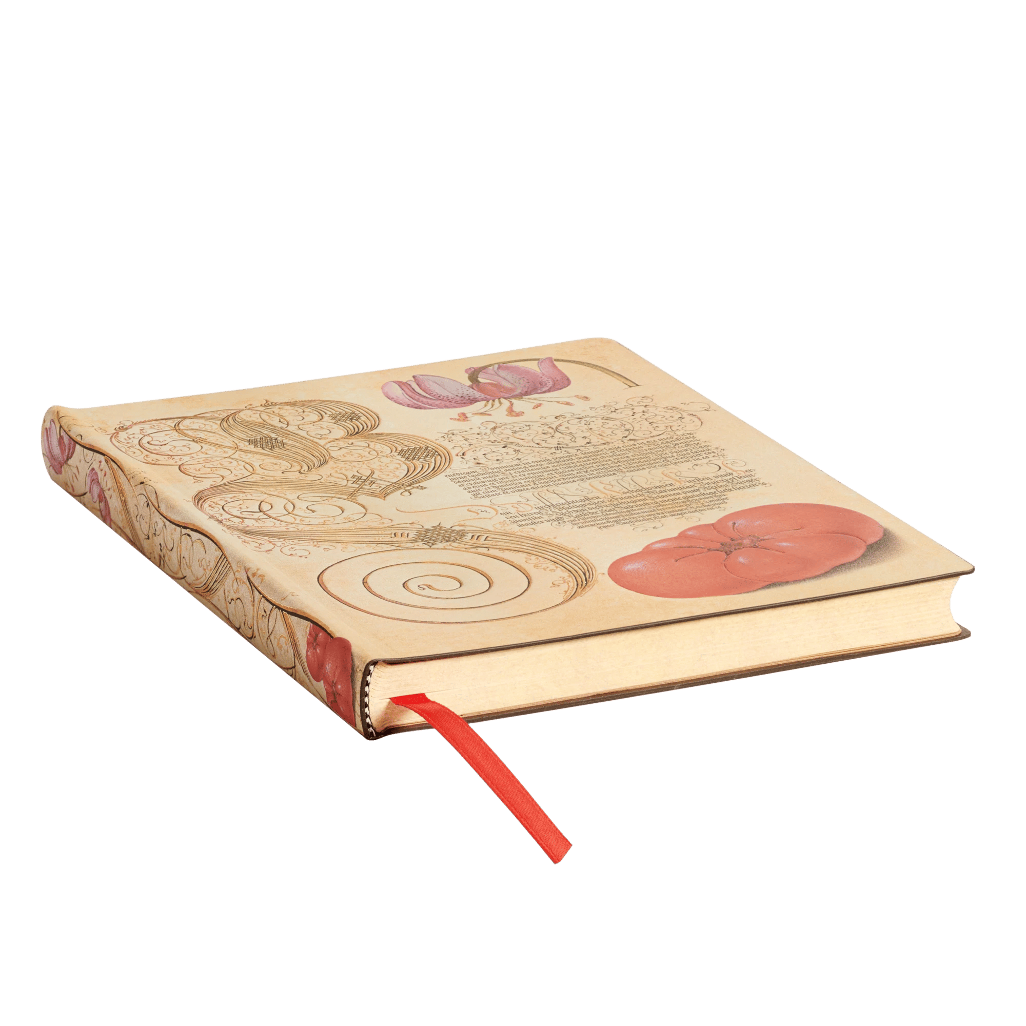 Lily & Tomato - Journals - Edge Image